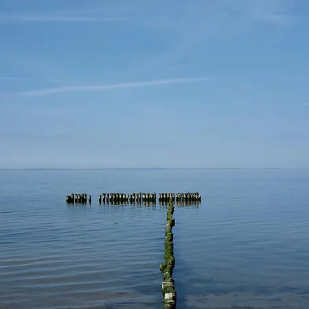 A13 